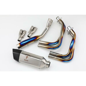 AELLA(AG) AXybN}t[:|bV ZX-25R AE-42024