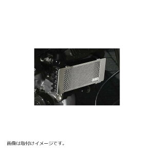 AELLA(AG) ICN[[veN^[ hDJeB S2R1000EnCp[^[h796/1100 AE-57013