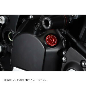 AELLA(AG) ICtB[Lbv ubN KAWASAKI AE-71006-BK