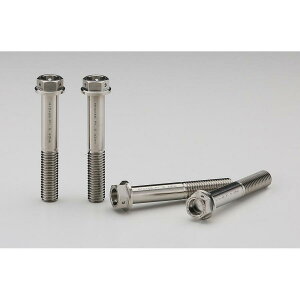 AELLA (�A�G��) �`�^���{���g(F�L�����p�[���W�A���}�E���g) M10X65 P1.5(4�{) �u���[ AT-BM001 SC