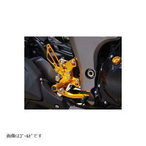 BABY FACE (�x�r�[�t�F�C�X) �X�e�b�v�L�b�g Ninja1000 �j���W��1000 Z1000 �t�V�t�g �u���b�N 002-K021BKR