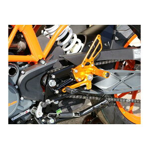BABY FACE (�x�r�[�t�F�C�X) �o�b�N�X�e�b�v RC390 RC125 8�|�W�V���� �t�`�F���W �S�[���h 002-KT009GDR