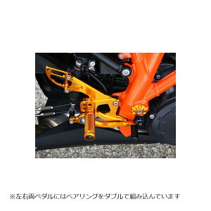 BABY FACE (�x�r�[�t�F�C�X) �o�b�N�X�e�b�v�L�b�g 1290SUPERDUKE GT �A���~ �S�[���h 002-KT010GD