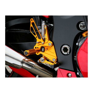 BABY FACE (xr[tFCX) obNXebv 5|WV `FŴ S[h GSX1300R HAYABUSA[nuT] 002-S018GD