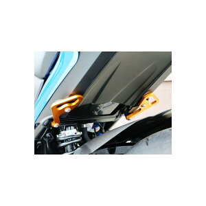 BABY FACE (�x�r�[�t�F�C�X) ���[�V���O�t�b�N GSX-S1000 �S�[���h 005-FS002GD