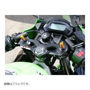 BABY FACE (xr[tFCX) tgtH[NgbvLbv Ninja250 jW A~jE u[hAWX^[:S[h Lbv:Vo[ 005-K0012SV