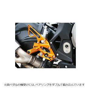 BABY FACE (�x�r�[�t�F�C�X) �o�b�N�X�e�b�v�L�b�g S1000RR �A���~ �S�[���h 002-BM010GD