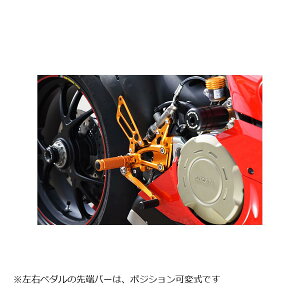 BABY FACE (�x�r�[�t�F�C�X) �o�b�N�X�e�b�v�L�b�g �p�j�K�[�� Panigale V4 �S�[���h 002-D025GD