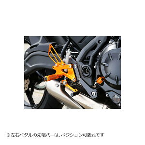 BABY FACE (�x�r�[�t�F�C�X) �o�b�N�X�e�b�v�L�b�g Ninja650 �j���W��650 �S�[���h 002-K031GD