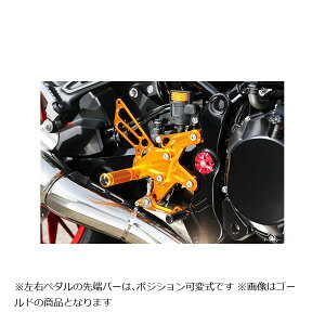 BABY FACE (ベビーフェイス) バックステップキット Z900RS シルバー 002-K033SV