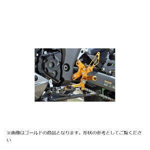 BABY FACE (�x�r�[�t�F�C�X) �o�b�N�X�e�b�v�L�b�g Ninja1000SX �j���W��1000SX �u���b�N 002-K041BK
