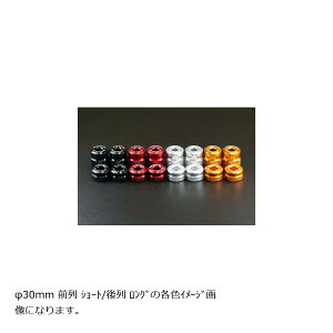 BABY FACE (xr[tFCX) nho[Gh z_ YZF-R25 Ninja650 jW650 30 V[g u[ 005-BES22BU