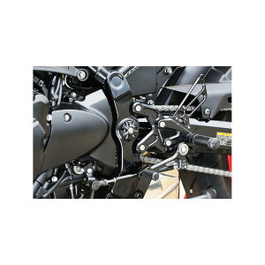 BABY FACE (xr[tFCX) t[Lbv Z900RS A~ ubN 005-K0013BK