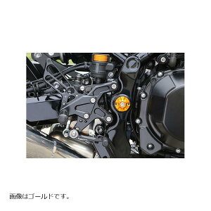 BABY FACE (�x�r�[�t�F�C�X) �t���[���L���b�v Z900RS �A���~ �V���o�[ 005-K0013SV