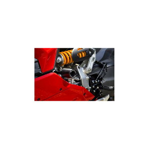 BABY FACE (xr[tFCX) t[XC_[ PANIGALE V2 pjK[ 006-SD016