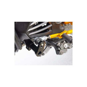 BABY FACE (�x�r�[�t�F�C�X) ���o�[�X Ninja250R �j���W��250R Ninja250 002-K019