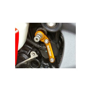 BABY FACE (�x�r�[�t�F�C�X) �V�t�g�X�s���h���z���_�[ DAYTONA675 �f�C�g�i 002-T002S