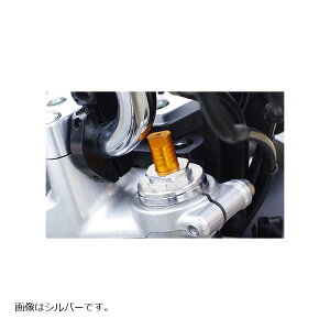 BABY FACE (xr[tFCX) tH[NgbvLbv VTR250 ubN 005-H0005BK