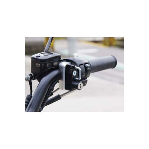 BABY FACE (xr[tFCX) wbgbN nhz_[^CvHD n[[_rbh\p Vo[ 009-LCHD1SV