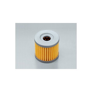 Daytona (fCgi) ICtB^[ DR-Z400