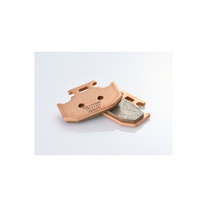 Daytona (fCgi) nCp[V^[h u[Lpbh A Z[225WE