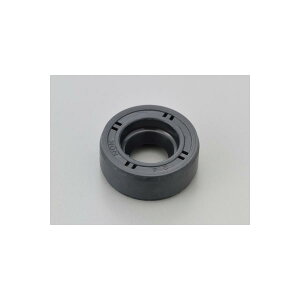 Daytona (fCgi) ICV[ Ci[tH[N