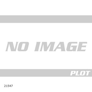 Daytona (fCgi) C~[A[ _C V[gL 21547