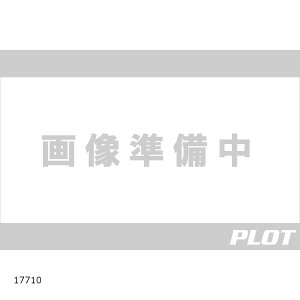 Daytona (fCgi) N100-5 PINLOCK NMS-04NA 17710