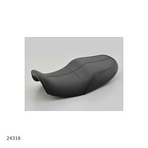 Daytona (fCgi) COZYV[g Z900RS 24316