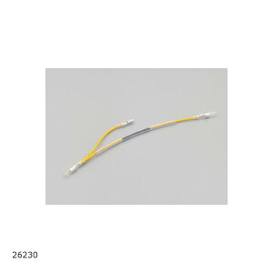 Daytona (fCgi) ^R[^[n[lX u250 REBEL250 26230