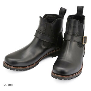 Daytona (fCgi) HBS-008TChSAu[cubN/23.5 29188