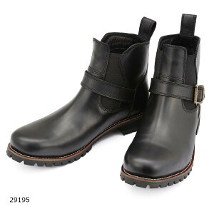 Daytona (fCgi) HBS-008TChSAu[cubN/27.0 29195