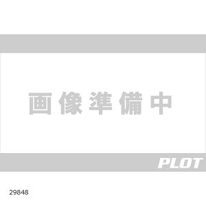 Daytona (fCgi) Zpnp^R[^[ tLbg 29848