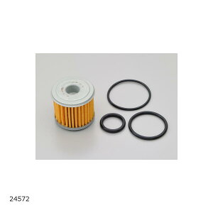 Daytona (fCgi) ICp[tFNgZbg NXJu 24572