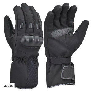 Daytona (fCgi) DG-004 AWhOO[u ubN/M 37385