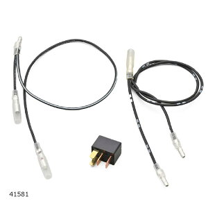 Daytona (fCgi) ACCn[lX CL250/500 tg 41581