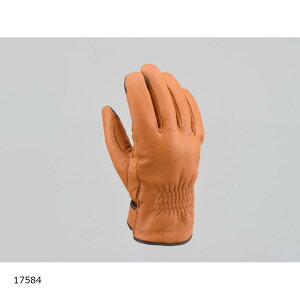 Daytona (fCgi) HBG-057 YDEB^[O[u `FXibg/L 17584