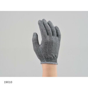 Daytona (fCgi) HBV-029 ڐG⊴Ci[O[u/ Mt[ 19010