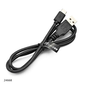 Daytona (fCgi) DTV[YCP[uTYPEC (B) 24668