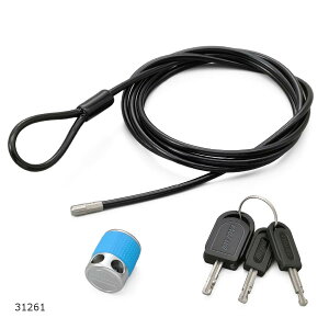 Daytona (fCgi) XgK[P[ubN u[ 31261