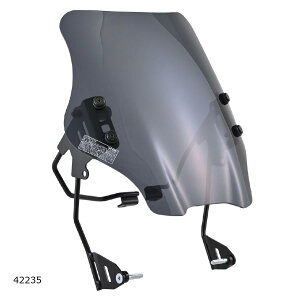 Daytona (fCgi) EChV[hSS X[N G~l[^[SE 42235