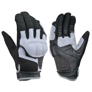 Daytona (fCgi) DG-009 V[gGAt[bVO[u O[/M 46073