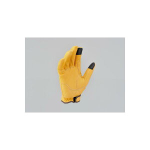 Daytona (fCgi) HBG-037DKJbgV[gO[u L/XL 96820