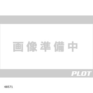 Daytona (fCgi) DJ-013 EC^[EChu[J[ ubN/bh/S 48571