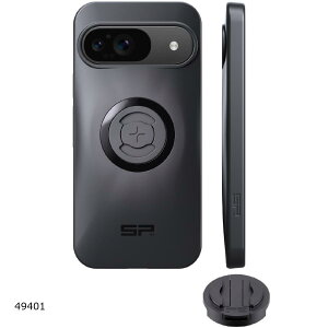 Daytona (fCgi) SPC+52679 CASE PIXEL 9 49401