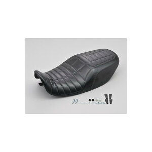 Daytona (fCgi) COZYV[g 70fs TYPE-S1 [t@[1100 ZEPHYR1100