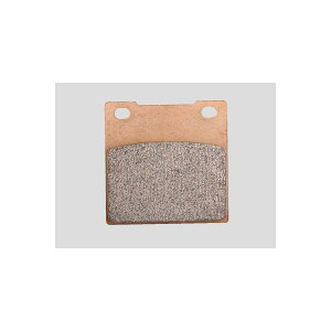 Daytona (fCgi) nCp[V^[h R ZRX1100 etc