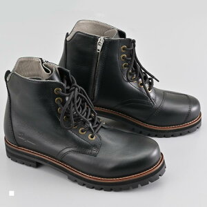 Daytona (fCgi) DS-004 WP[XAbvu[c ubN 27.5 62835