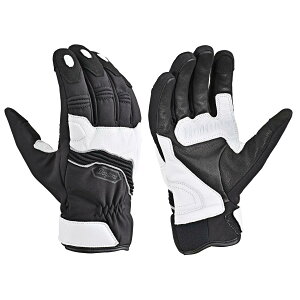 Daytona (fCgi) DG-022 ANeButBbgEB^[O[u zCg /L 63164