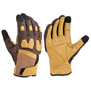 Daytona (fCgi) DG-024 upbgEB^[O[u uE/L 63298